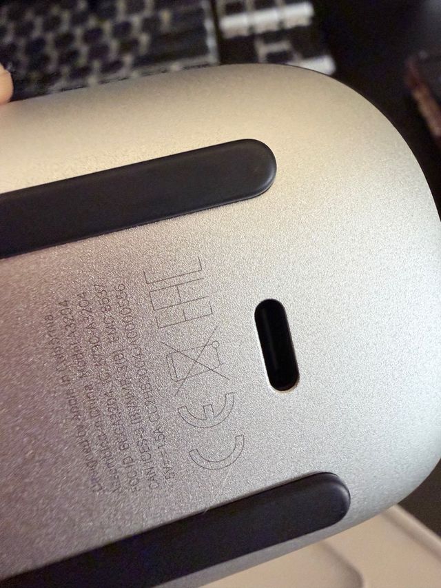 Apple Magic Mouse 2 USB-C Negro