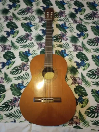 Guitarra española palo santo