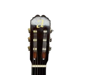 guitarra clasica admira mimosa