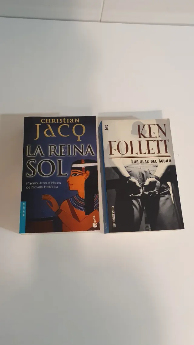 GRAN LOTE LIBROS TEMÁTICA VARIADA