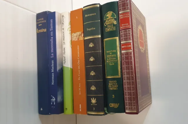 Lote de libros variados