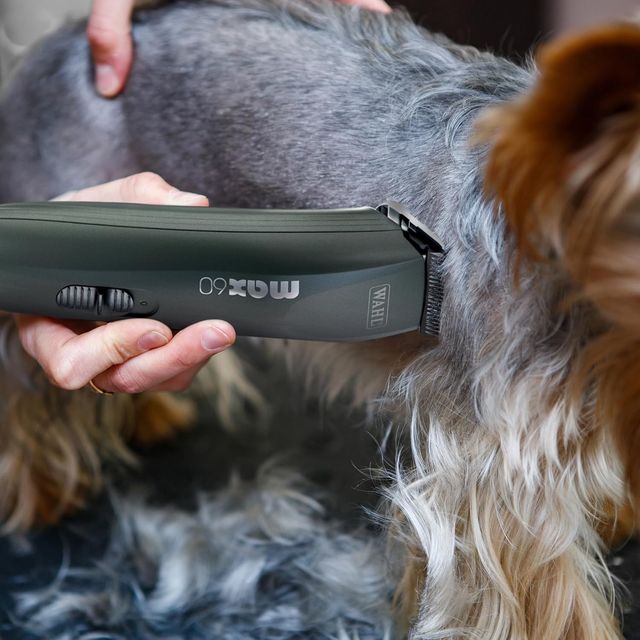 Wahl Max 60 & Pocket Pro Kit Cortapelos Mascotas