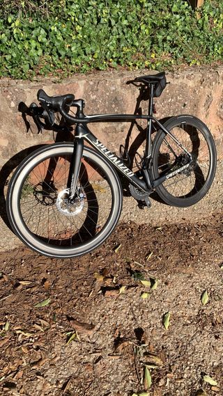 Specialized Tarmac Talla 54