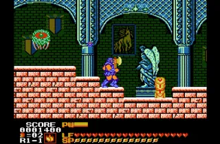 Astyanax NES Cartucho Pal B