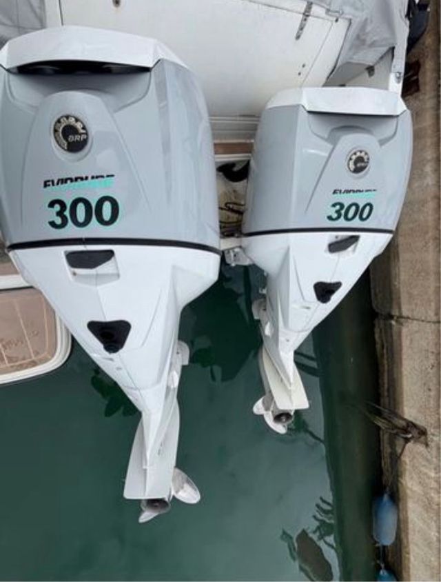 2 Motores fueraborda Evinrude 300