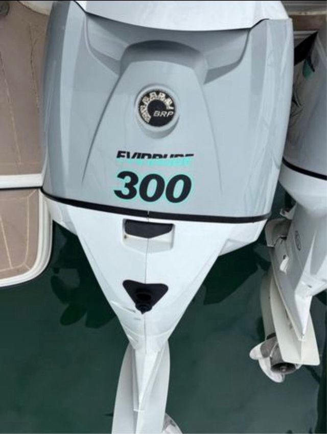 2 Motores fueraborda Evinrude 300