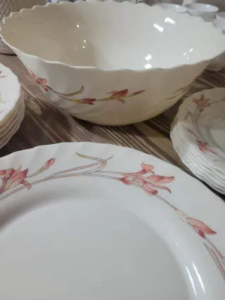 Vajilla Lirios Rosa Vintage. Arcopal sin extrenar