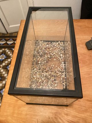 Pecera con filtro interior