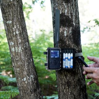 Cámara Fototrampeo Caza Fotográfica Num'axes Móvil 4G PIE