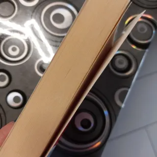 L'ospite sconosciuto romanzo