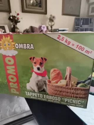 Tappeto erboso Sole Ombra Picnic