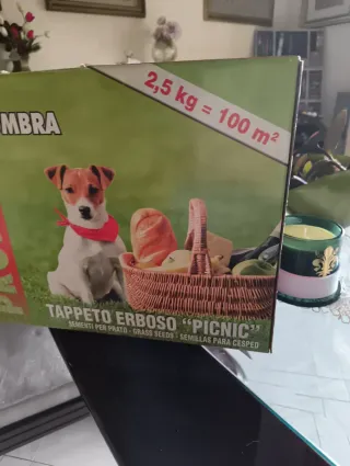 Tappeto erboso Sole Ombra Picnic