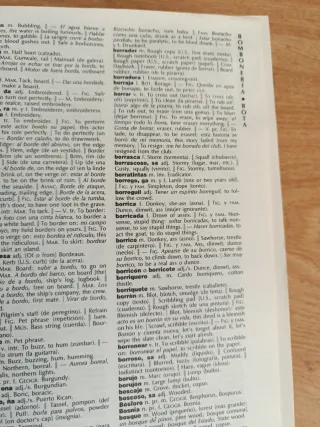 Larousse Diccionario Moderno Español-Ingles