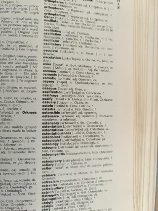 Larousse Diccionario Moderno Español-Ingles