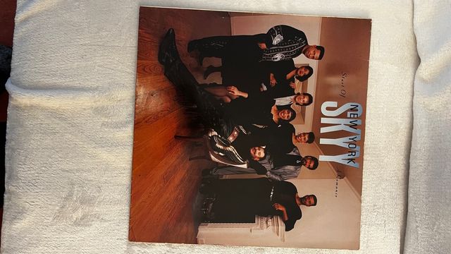 Disco de vinilo pack Señor F