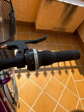 Bicicleta de paseo morada