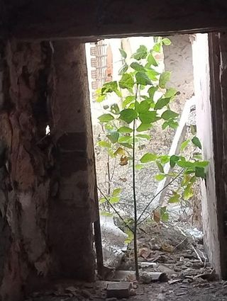 Chalet en venta en Almagro