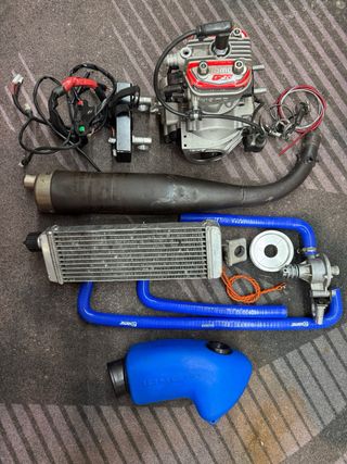Motor Mini IAME X30 Completo