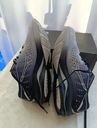Zapatillas deportivas Mizuno Wave Rider 25