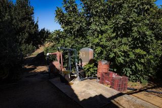 Casa rural en venta en Aljaraque