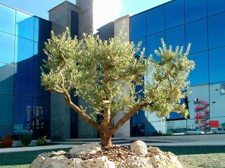 Edificio en venta en Venta de Baños