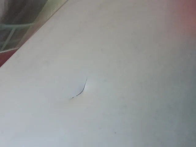 Campana extractora de cocina