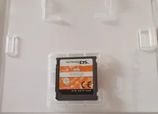 The Professor's Brain Trainer Logic DS