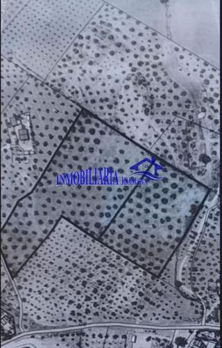 Casa rural en venta en Lucena