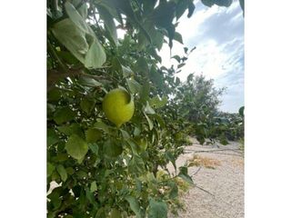 Chalet en venta en Abanilla