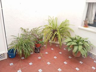 Piso en venta en Núcleo Urbano en Chiclana de la Frontera