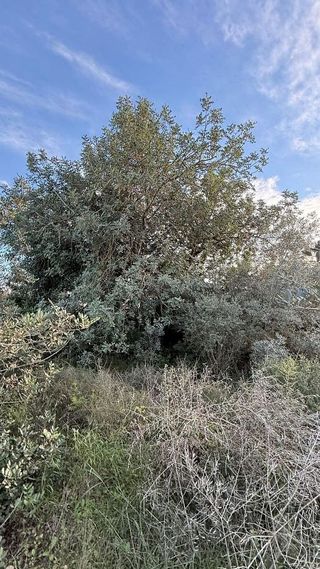 Terreno en venta en Alcalà de Xivert pueblo en Alcalà de Xivert