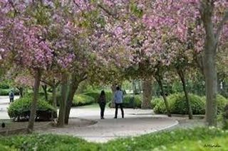 Piso en venta en Parque de la Paloma en Benalmádena