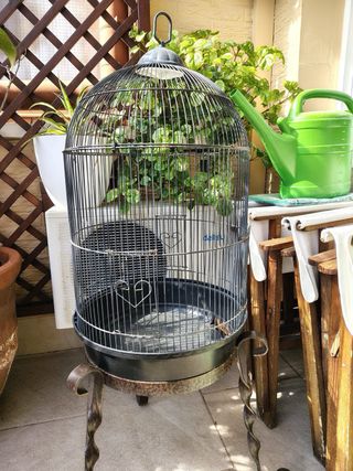 Jaula grande para pájaros, negra