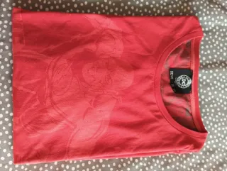 Camiseta DC Comics Flash XL