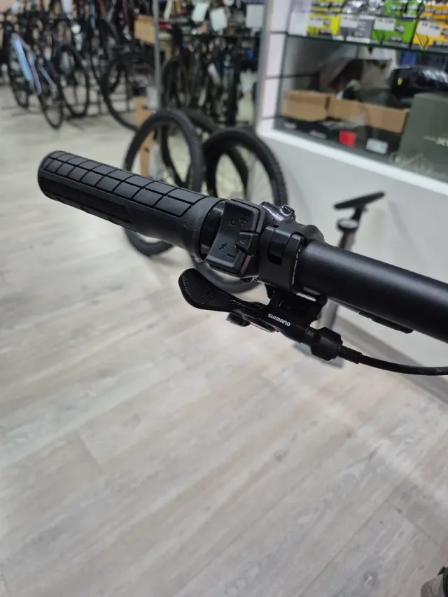 Bici Orbea Wild M 10