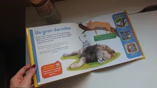 Lote de 14 libros (4 de ellos con 36 puzzles)