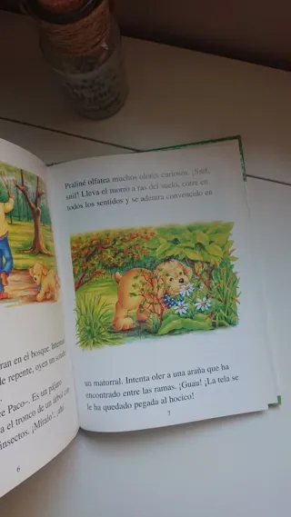 Lote de 14 libros (4 de ellos con 36 puzzles)