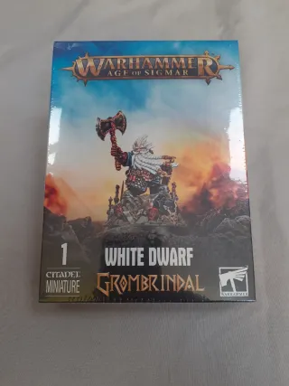 Warhammer Age of Sigmar Grombrindal