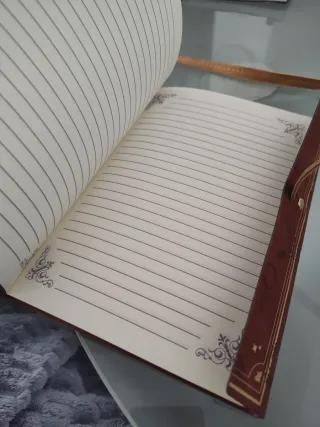 Diario secreto de Harry Potter