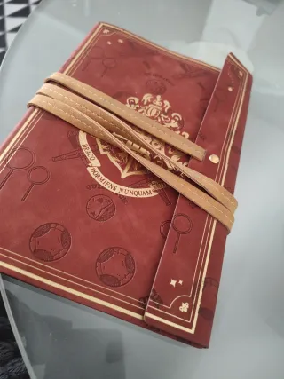 Diario secreto de Harry Potter