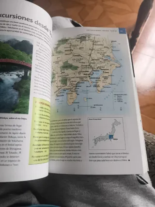 Japón - Guía ilustrada.