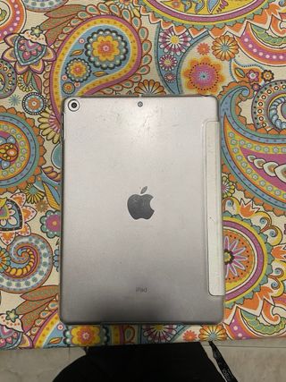 Apple iPad 6th Generation Plata