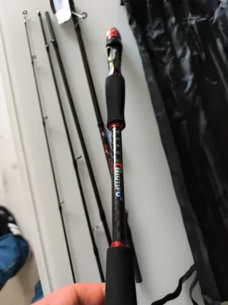 Caña de Pesca Symphony 210C