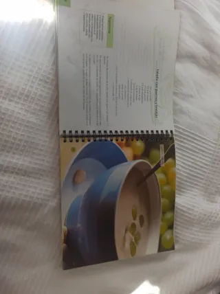 Mi Libro de Cocina Vegana