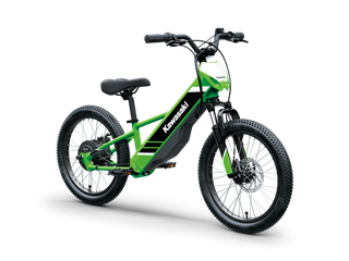 Kawasaki Elektrode 20