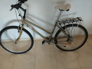 Bicicleta Montaña Color Dorado