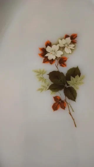 Bandeja Arcopal Flor Almendro Ovalada