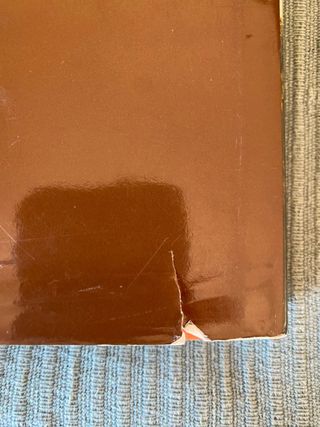 El libro de Rembrandt