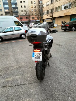 Triumph Tiger 900 GT Pro 2024