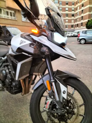Triumph Tiger 900 GT Pro 2024